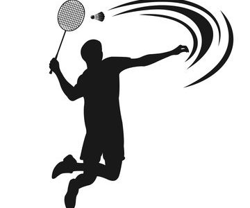 Damaturu badminton club lauds Gov. Buni over youth inclusiveness