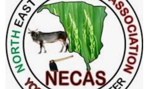 Yobe NUJ lauds NECAS for providing 55,000 hectares of land to farmers