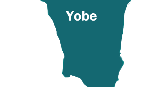 3,400 civil servants sit for promotion examination in Yobe — HoS