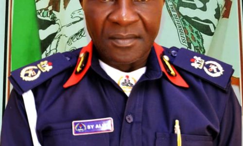 NSCDC Yobe command lists achievements within 6 months