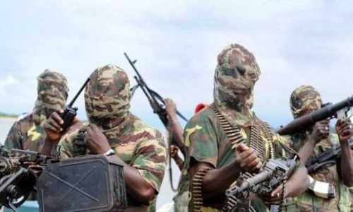 Customs Officer Killed as Boko Haram Launches Attack on Yobe Customs Office