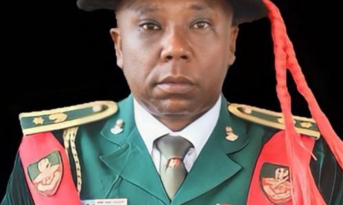 Nigerian Army gets first professor